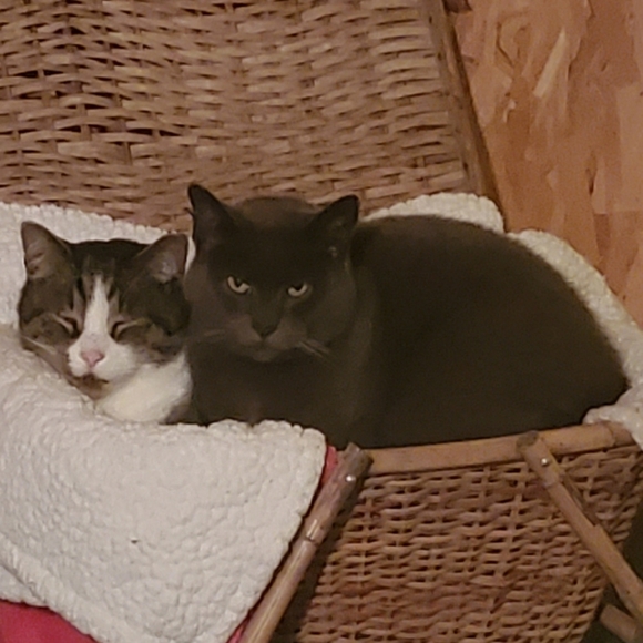 ♡ - Picture 9 of 13